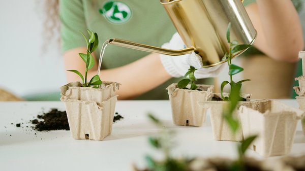 Durabilite Environnementale