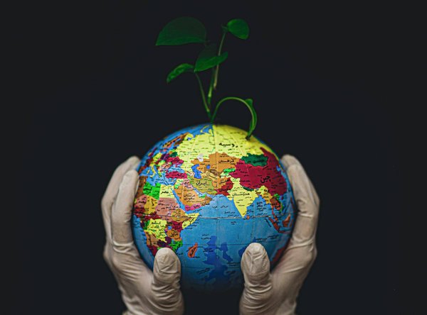 Quel est le rôle des pouvoirs publics dans la promotion du développement durable ?