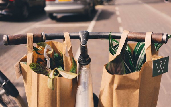 Quels sont les labels et les certifications qui garantissent une consommation durable ?