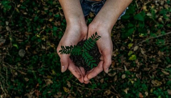 Où trouver des produits locaux, bio et équitables près de chez soi ?