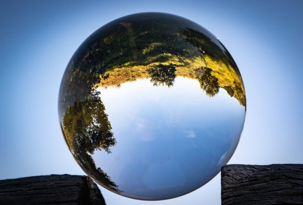 Quels sont les rôles et les missions des organisations de durabilité environnementale ?