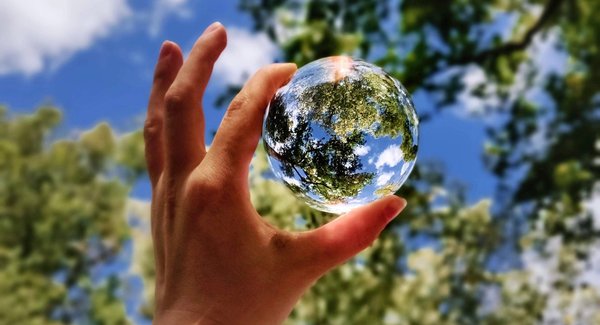 Qu'est-ce que l'écologie et pourquoi est-elle importante pour la durabilité environnementale ?