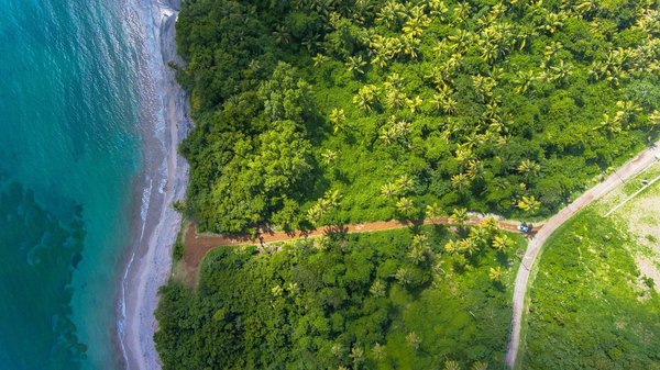 Quelles sont les branches et les disciplines de l'écologie ?